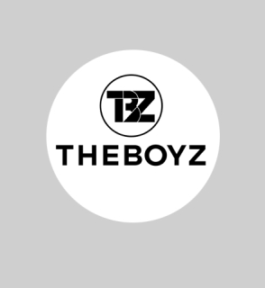 THE BOYZ - Logo New Black - odznak