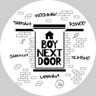 BOYNEXTDOOR - Art Logo Names - odznak